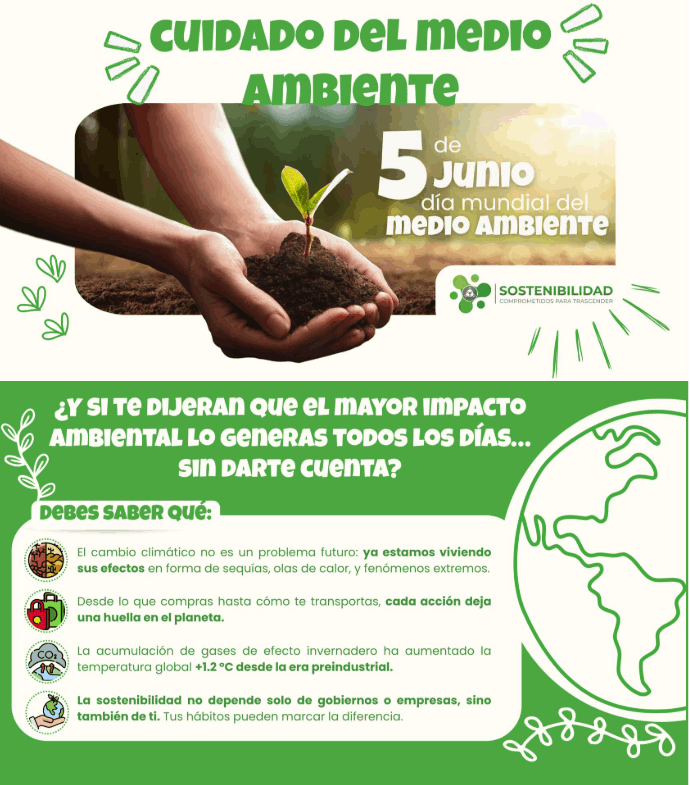 Curso medioambiente 3